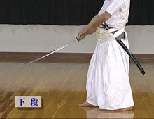 Jikishin Kage Ryu Kenjutsu DVD Vol 2 with Masaru Iwasa - Budovideos Inc