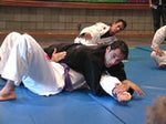 BJJ Seminars Year One DVD by Roy Dean - Budovideos Inc
