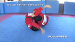 Nogi & BJJ Super Techniques by Bruno Frazatto DVD - Budovideos Inc
