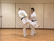 Shoot Aikido DVD 1: Basic Techniques & Combinations by Fumio Sakurai - Budovideos Inc