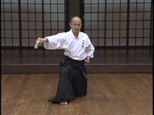 Master Iai Techniques with Bokuto Vol 1 DVD by Ryumon Yamato - Budovideos Inc