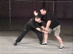Vicious Street Fighting 3 DVD Set with Richard Ryan - Budovideos Inc