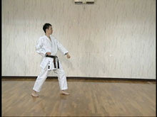 Basic Budo Karate DVD by Masahiro Yanagawa - Budovideos Inc