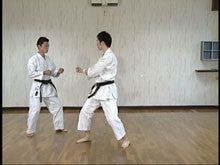 Advanced Budo Karate by Masahiro Yanagawa - Budovideos Inc