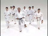 Uechi Ryu Karate Do DVD 1 by Isamu Uehara - Budovideos Inc