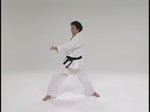 Uechi Ryu Karate Do DVD 2 by Isamu Uehara - Budovideos Inc