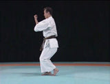 Complete Karate Kata of Wadokai Vol 1 DVD - Budovideos Inc