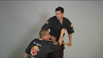 Mastering the Cane DVD by Ted Tabura - Budovideos Inc