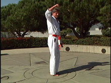 Complete Okinawa Isshin Ryu Karate System 4 DVD Set by Kim Murray - Budovideos Inc