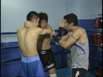 Muay Thai Complete Guide DVD 2 - Budovideos Inc