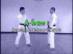 Basic Budo Karate DVD by Masahiro Yanagawa - Budovideos Inc