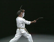 Once a Secret: Shorin Ryu Karate DVD by Eihachi Ota - Budovideos Inc