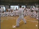 Seiji Nishimura Kumite Technique Seminar Vol 4 DVD - Budovideos Inc