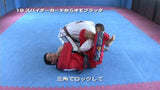 Nogi & BJJ Super Techniques by Bruno Frazatto DVD - Budovideos Inc