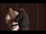 Ryukyu Mysterious Bujutsu: Te DVD by Keishiro Shiroma - Budovideos Inc