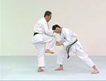 Itosu Ryu Karatedo Kata DVD 2 by Sadaaki Sakagami - Budovideos Inc