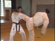 Seiji Nishimura Kumite Technique Seminar Vol 3 DVD - Budovideos Inc