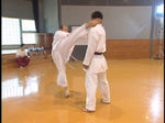 Seiji Nishimura Kumite Technique Seminar Vol 2 DVD - Budovideos Inc