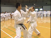 Seiji Nishimura Kumite Technique Seminar Vol 1 DVD - Budovideos Inc