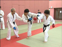 Seiji Nishimura's Kumite Technique Seminar 8 DVD - Budovideos Inc