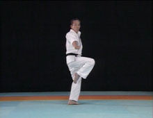 Complete Karate Kata of Wadokai Vol 2 DVD - Budovideos Inc