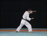Complete Karate Kata of Wadokai Vol 2 DVD - Budovideos Inc