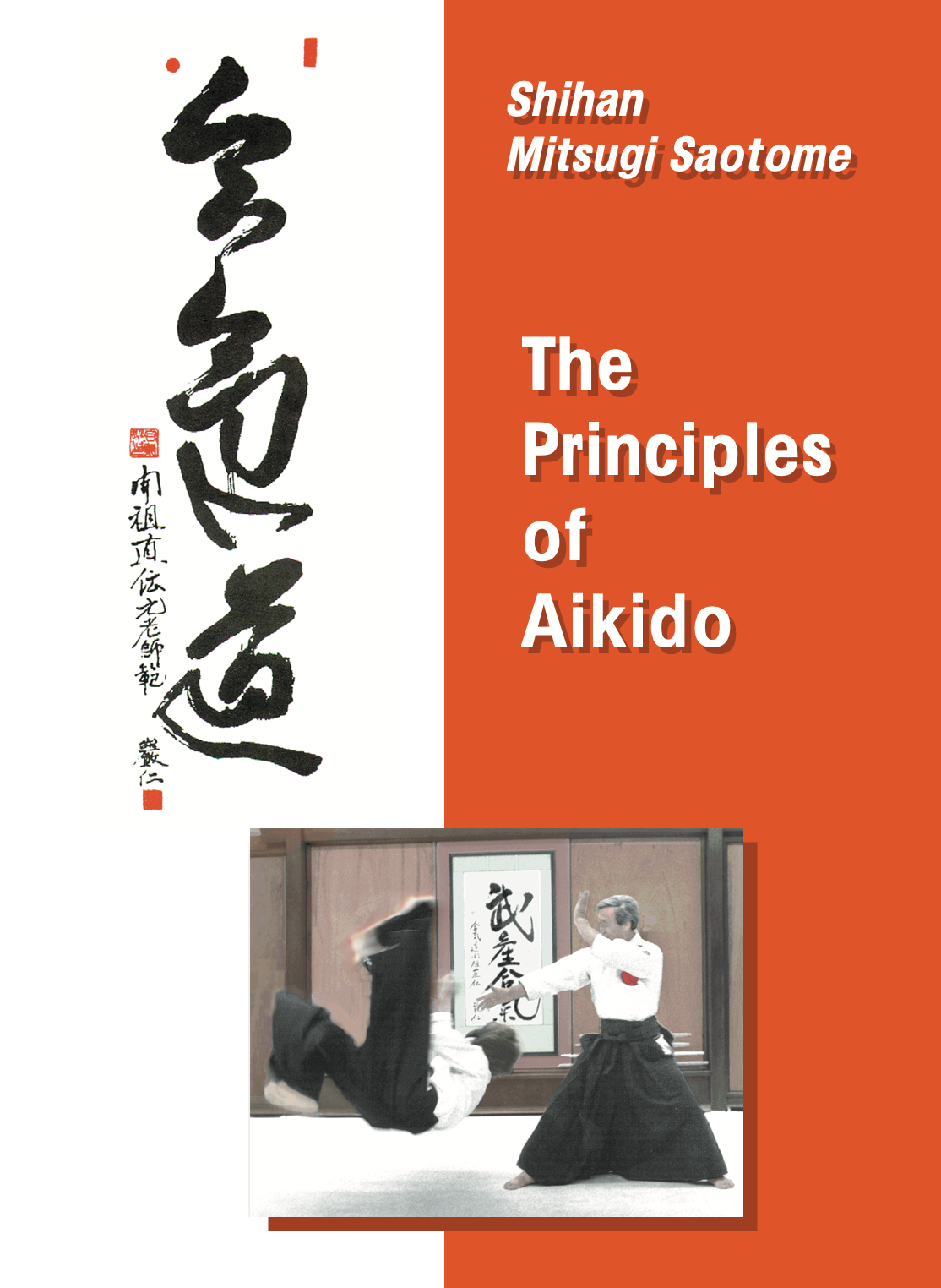 DVD Los principios del Aikido de Mitsugi Saotome
