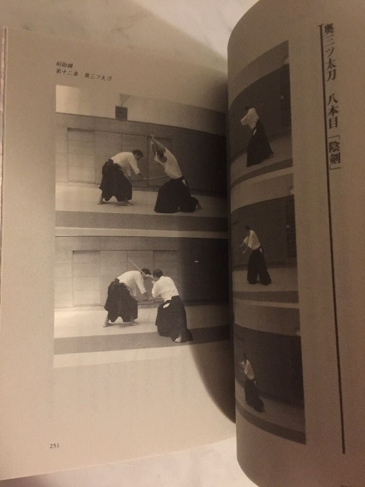 Ki Ken Tai Ichi Book 2 by Tetsuzan Kuroda (Preowned) - Budovideos Inc