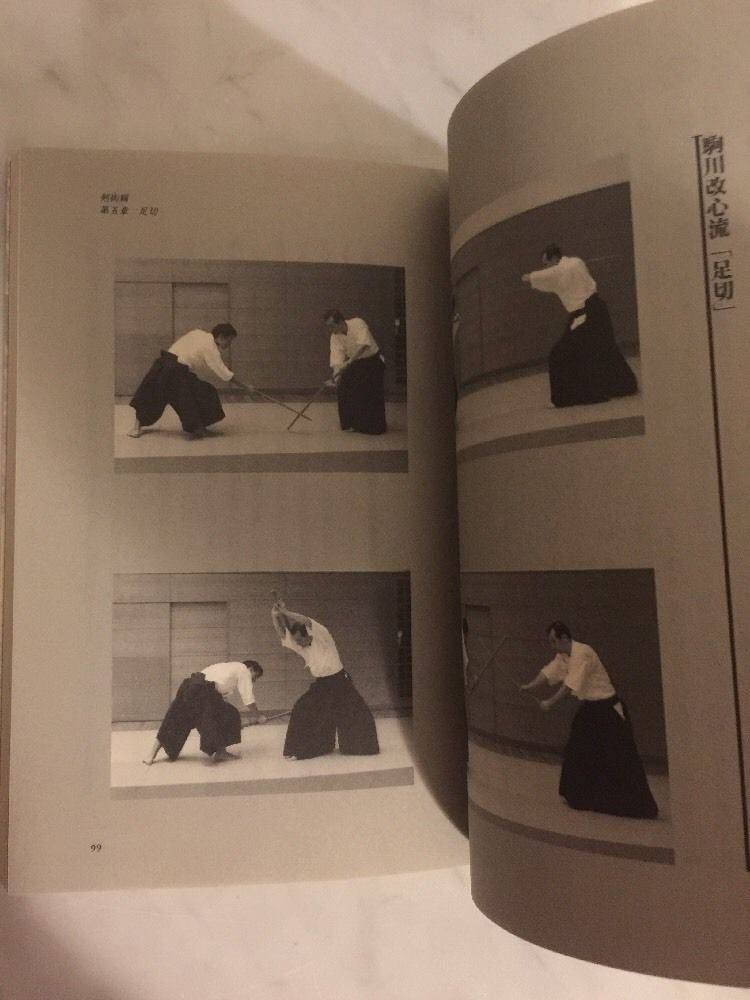 Ki Ken Tai Ichi Book 2 by Tetsuzan Kuroda (Preowned) - Budovideos Inc