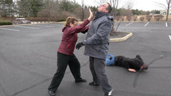 Striking the Tree Ninjutsu Self Defense DVD with Todd Norcross - Budovideos Inc