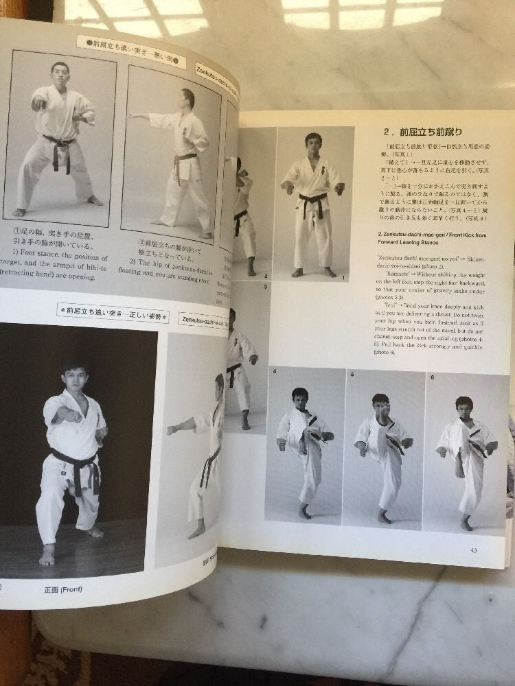 Kensan Secret Principles of Karate Book By Hatsuo Royama (Preowned) - Budovideos Inc
