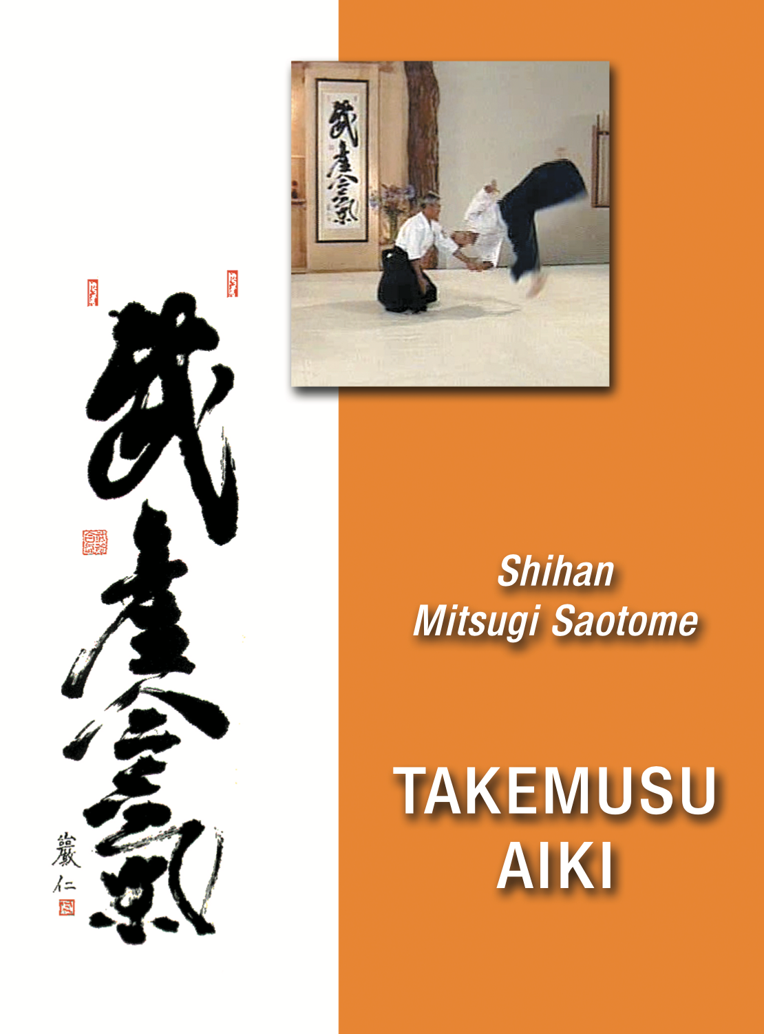 Takemusu Aiki DVD by Mitsugi Saotome