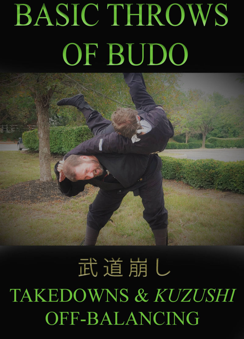 DVD de lanzamientos fundamentales de Budo con Todd Norcross