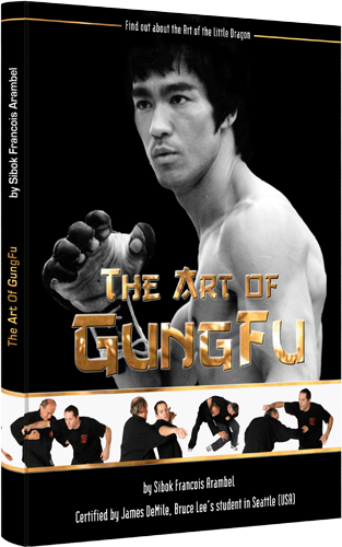 The Art of Gung Fu Book by Francois Arambel - Budovideos Inc